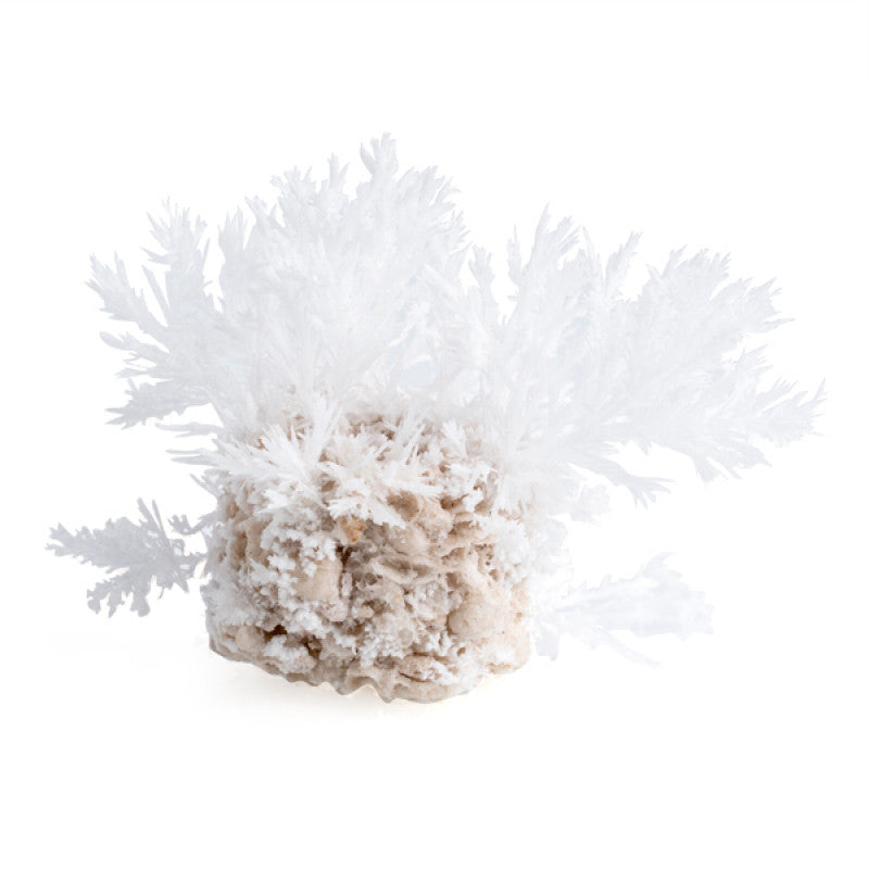 Grow Frozen Magic Rock - Sensory Kingdom