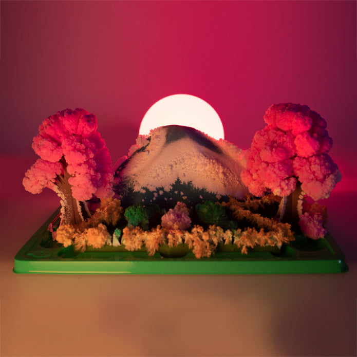 Grow Magic Garden