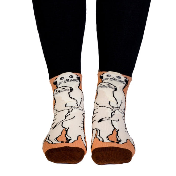 Feet Speak Socks - Meerkat