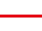 LANYARDS – PLAIN RED COLOUR