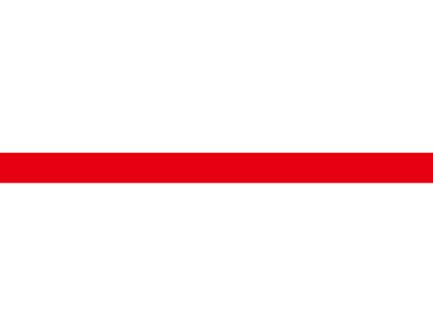 LANYARDS – PLAIN RED COLOUR