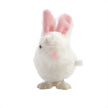 Wind Up Hopping Bunny - Sensory Kingdom