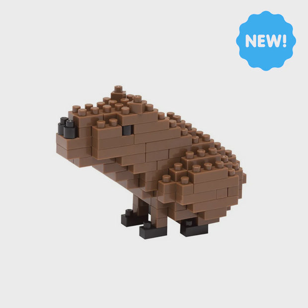 Capybara - Sensory Kingdom