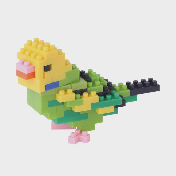 Budgerigar Green Opaline - Sensory Kingdom