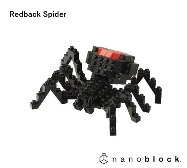 Redback Spider - Sensory Kingdom