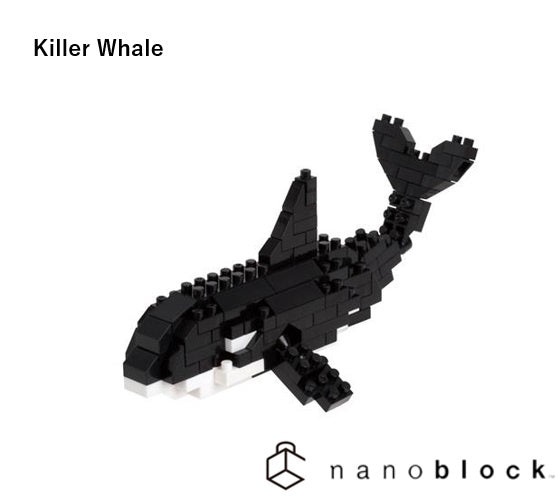Killer Whale - Sensory Kingdom