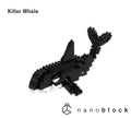 Killer Whale - Sensory Kingdom