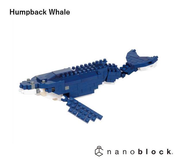 Humpback Whale - Sensory Kingdom