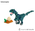 Velociraptor - Sensory Kingdom