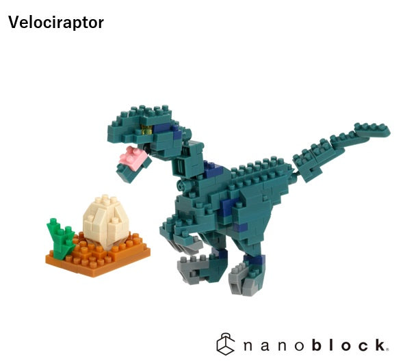 Velociraptor - Sensory Kingdom