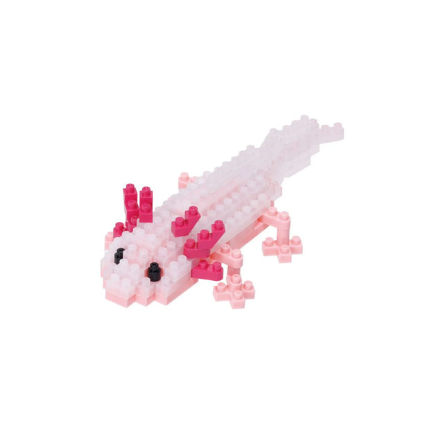 Axolotl - Sensory Kingdom