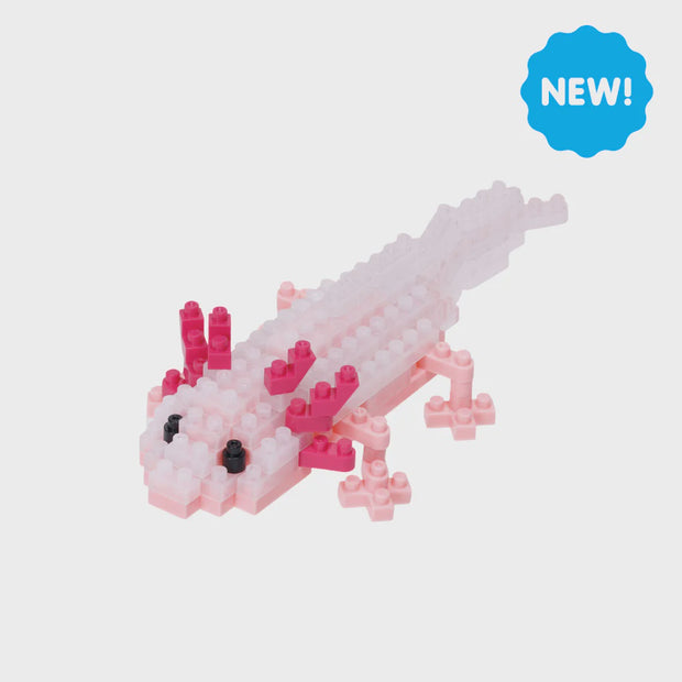 Axolotl - Sensory Kingdom