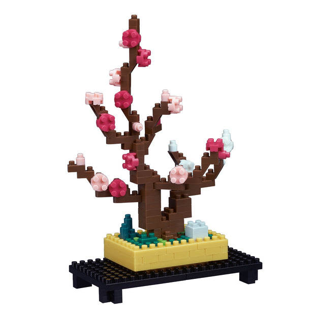 Plum Bonsai - Sensory Kingdom