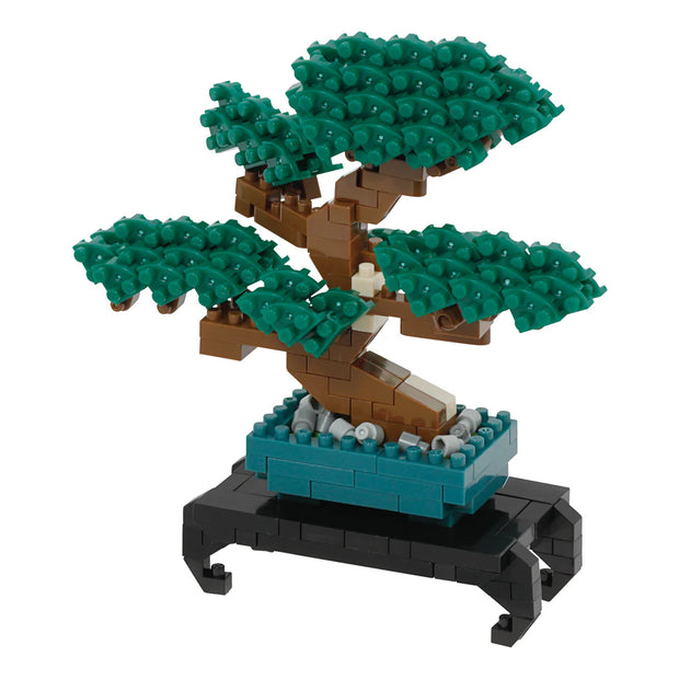 Bonsai Pine - Sensory Kingdom