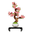 Bonsai Sakura - Sensory Kingdom
