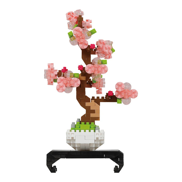 Bonsai Sakura - Sensory Kingdom