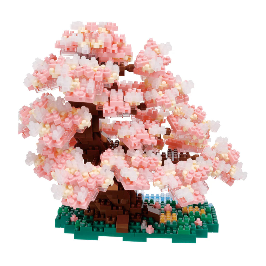 Bonsai Yoshino Cherry - Sensory Kingdom