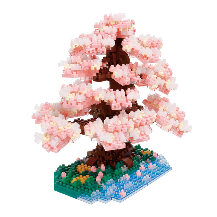 Bonsai Yoshino Cherry - Sensory Kingdom