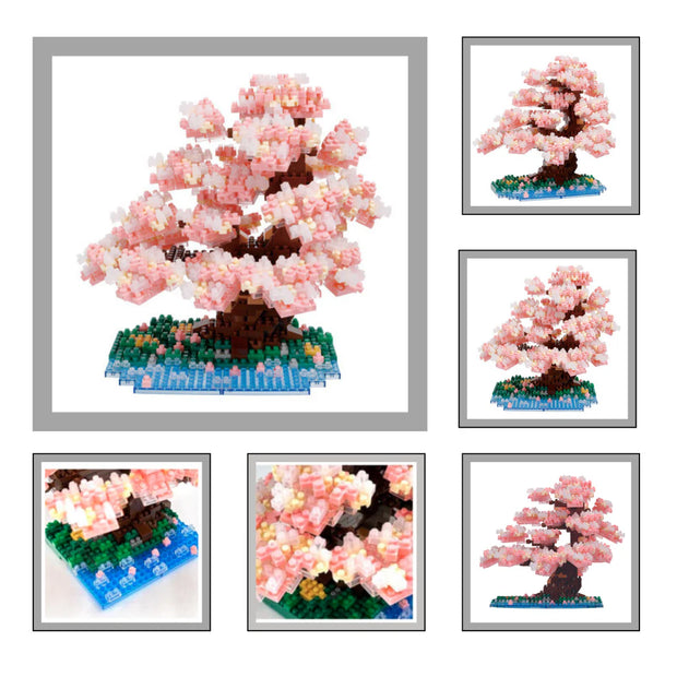 Bonsai Yoshino Cherry - Sensory Kingdom