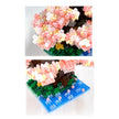 Bonsai Yoshino Cherry - Sensory Kingdom