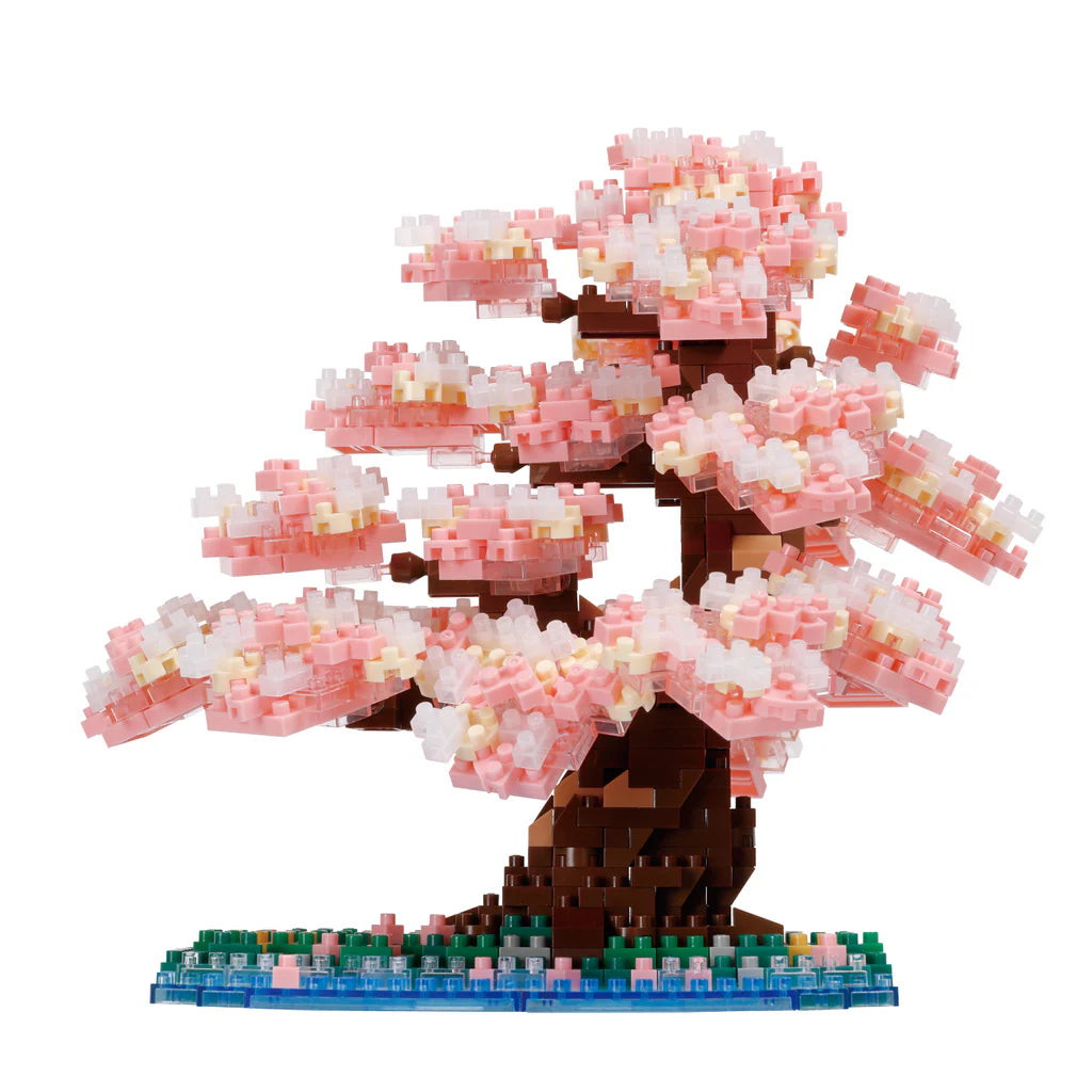 Bonsai Yoshino Cherry - Sensory Kingdom