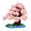 Bonsai Yoshino Cherry - Sensory Kingdom