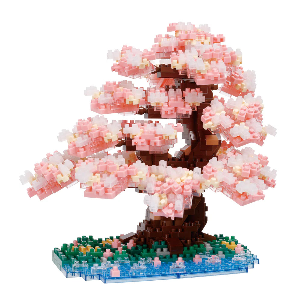 Bonsai Yoshino Cherry - Sensory Kingdom