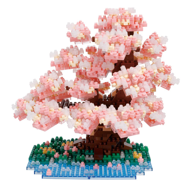 Bonsai Yoshino Cherry - Sensory Kingdom