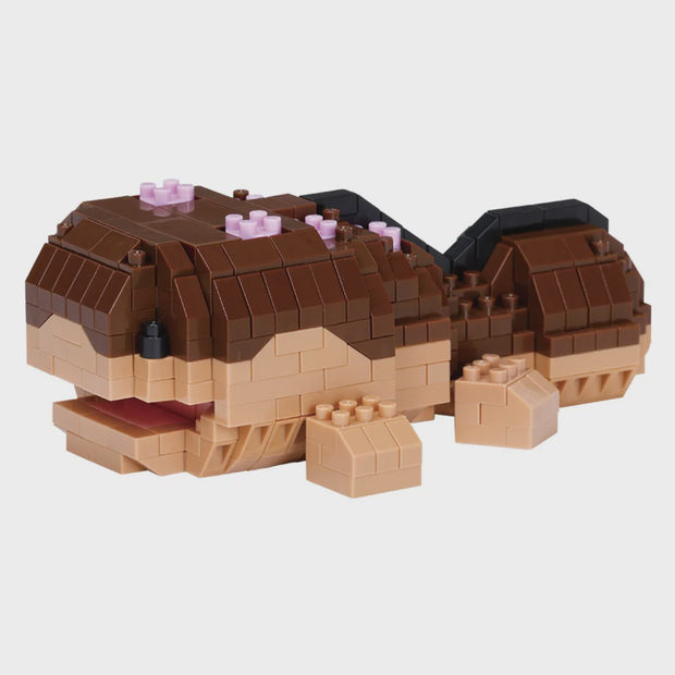 Pokemon - Clodsire RS - Sensory Kingdom