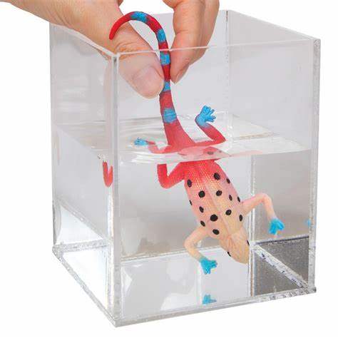 Schylling – Colour Changing Revealeons - Sensory Kingdom