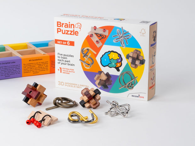 BRAIN PUZZLE SET OF 6