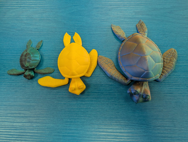 3D Turtle