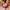Peekaboo Sensory Bag - Sensory Kingdom