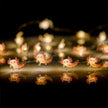 LED String Light - Varieties - Sensory Kingdom