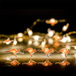 LED String Light - Varieties - Sensory Kingdom