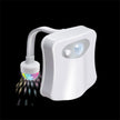 LED Toilet Disco Light - Sensory Kingdom
