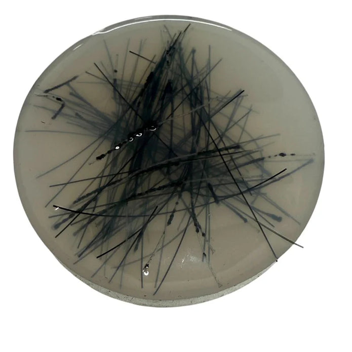 Thread Pick ‘Em Stack | pack of 3 refill thread discs