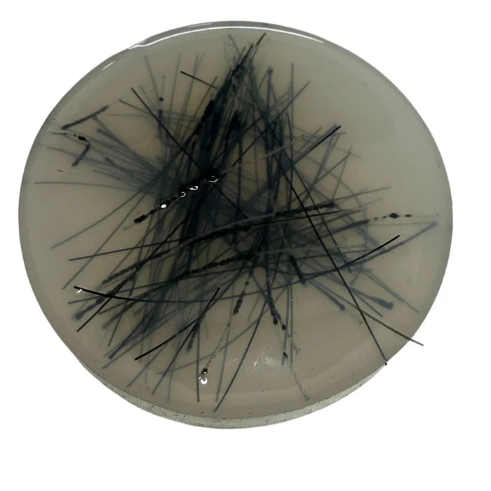 Thread Pick ‘Em Stack | pack of 3 refill thread discs