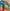 CONNETIX Rainbow Ball Run Pack 92 pc