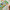 Numberblocks Race to Pattern Palace - Sensory Kingdom