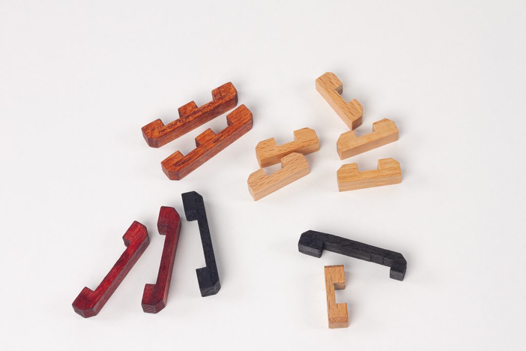 BRAIN PUZZLE SET OF 6