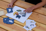 Tangram: The 4 Elements